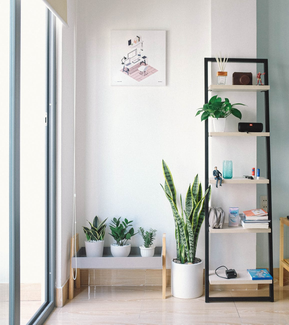 Shelf with plants